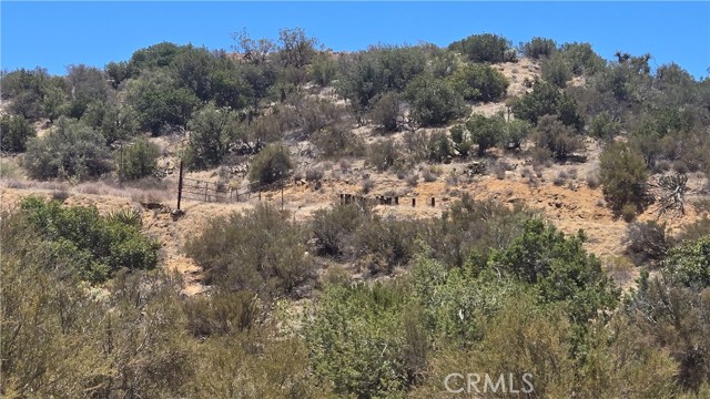 MLS #SW25159346 image #22