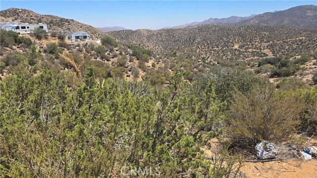 MLS #SW25159346 image #5
