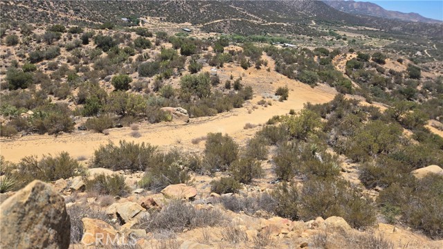 MLS #SW25159346 image #7