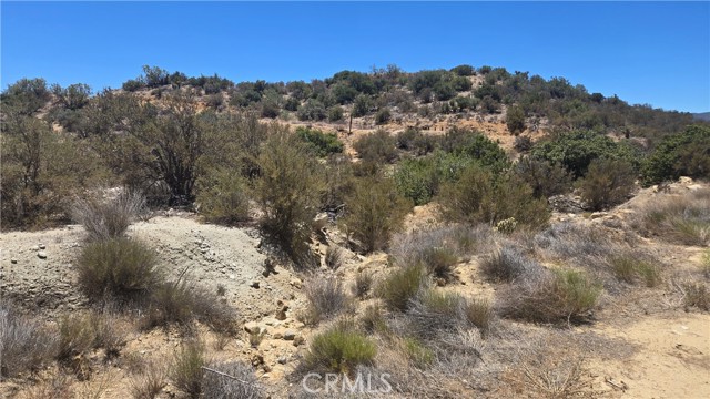 MLS #SW25159346 image #8