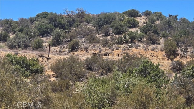 MLS #SW25159346 image #9