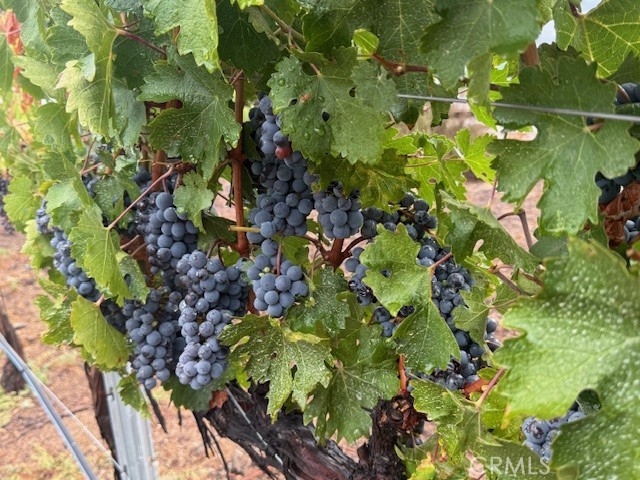 MLS #SW25159557 image #66