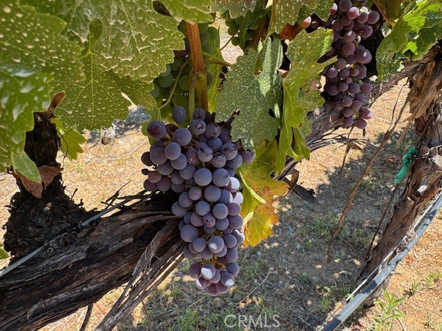 MLS #SW25159557 image #67