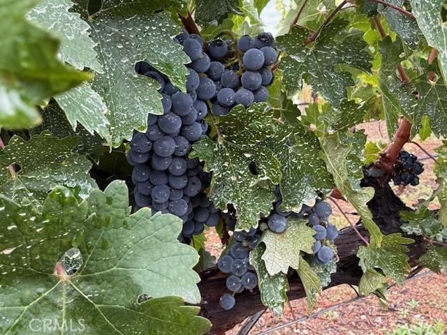 MLS #SW25159557 image #68