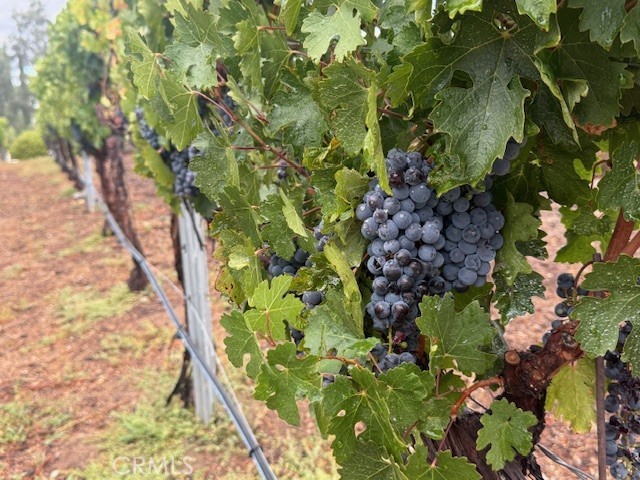 MLS #SW25159557 image #69