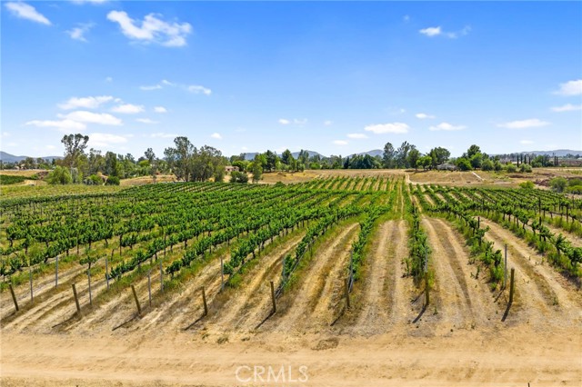 MLS #SW25161061 image #15