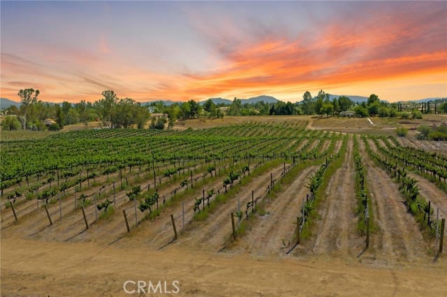 MLS #SW25161061 image #2