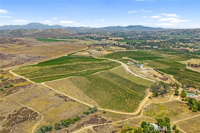 MLS #SW25161061 image #7