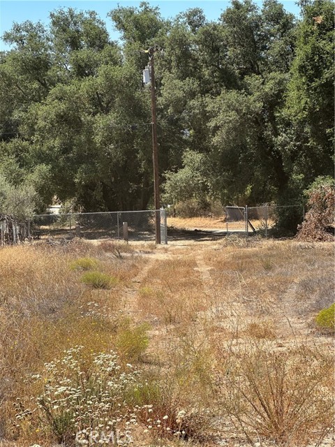MLS #SW25163305 image #10
