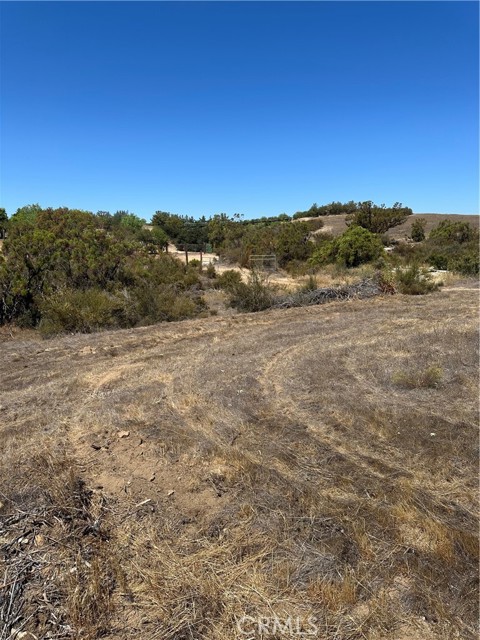MLS #SW25163305 image #12