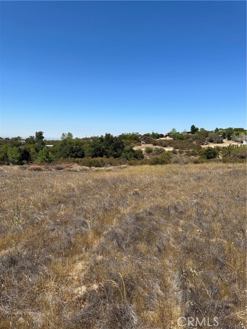 MLS #SW25163305 image #14