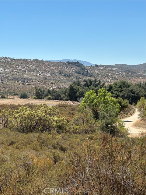 MLS #SW25163305 image #15