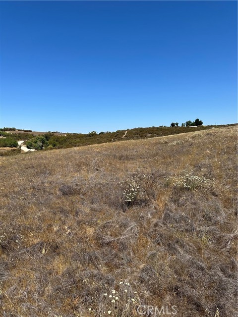 MLS #SW25163305 image #16