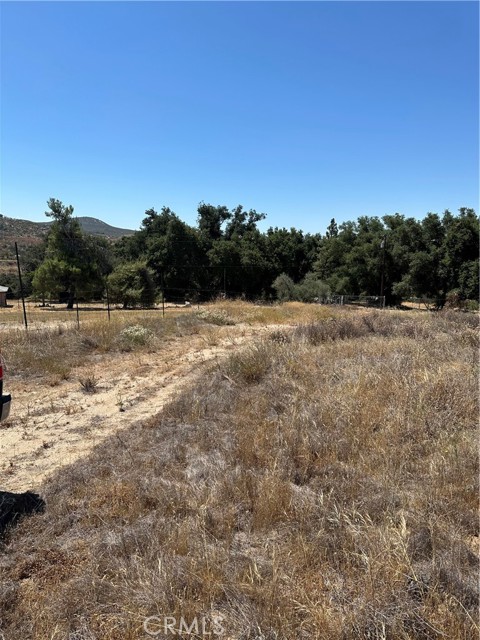 MLS #SW25163305 image #19