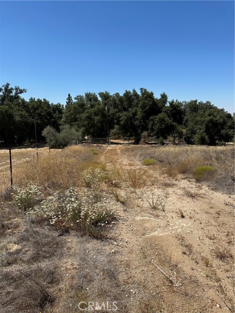 MLS #SW25163305 image #21