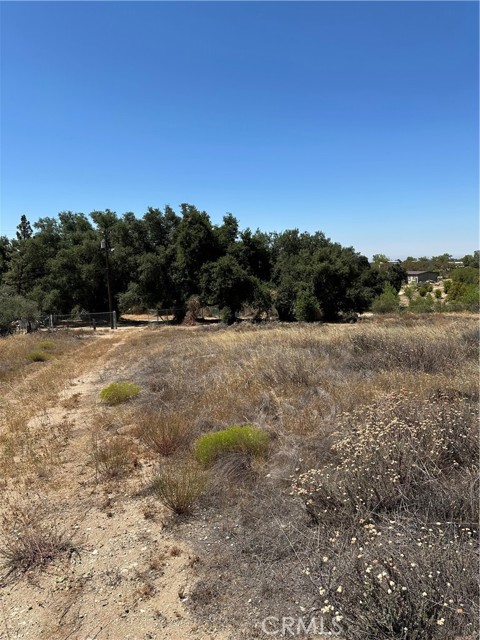 MLS #SW25163305 image #26