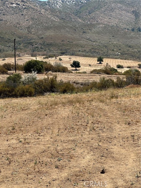 MLS #SW25163305 image #3