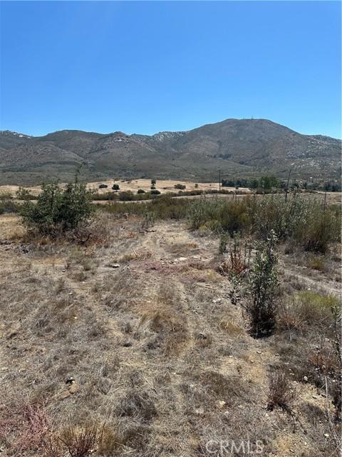 MLS #SW25163305 image #36