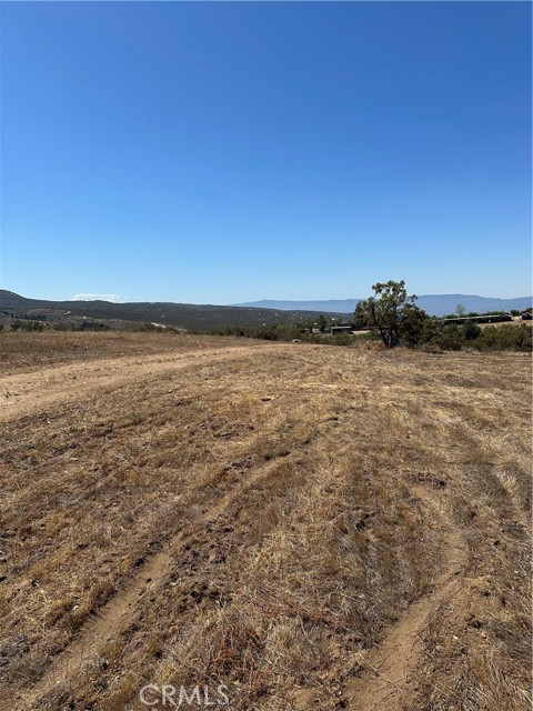 MLS #SW25163305 image #37