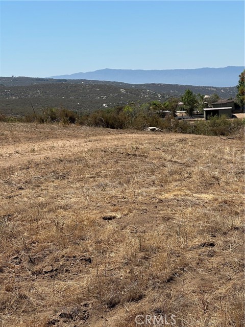 MLS #SW25163305 image #38