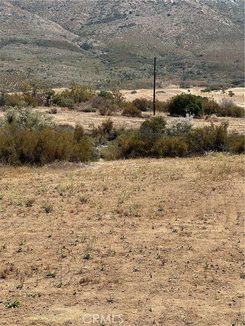 MLS #SW25163305 image #39