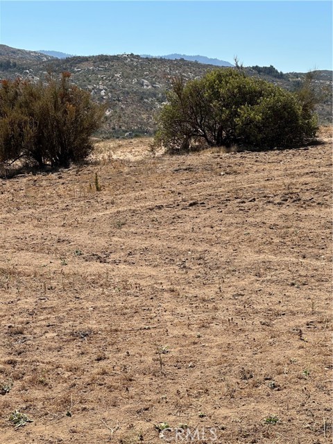 MLS #SW25163305 image #4