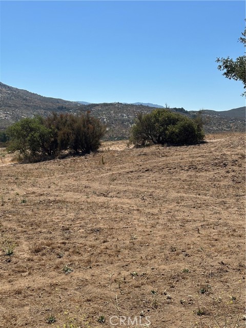 MLS #SW25163305 image #44