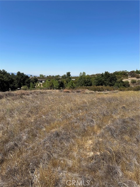MLS #SW25163305 image #5