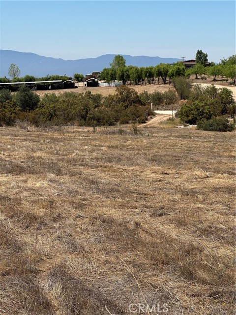 MLS #SW25163305 image #6