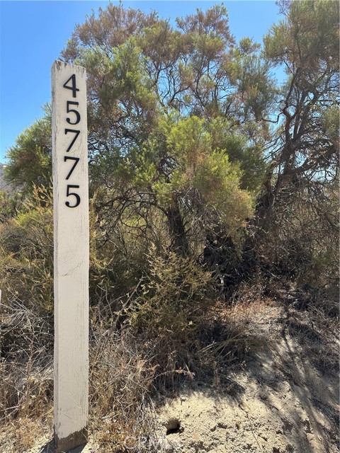 MLS #SW25163305 image #9