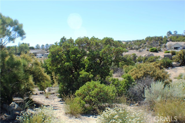 MLS #SW25163544 image #10