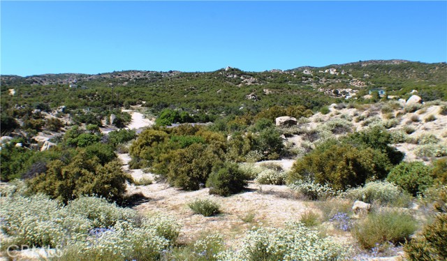 MLS #SW25163544 image #11