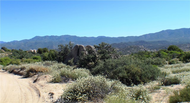 MLS #SW25163544 image #12