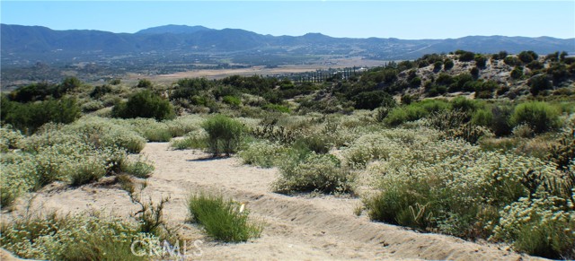 MLS #SW25163544 image #13