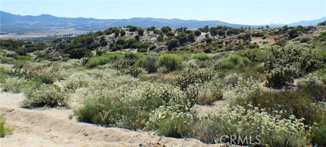 MLS #SW25163544 image #14