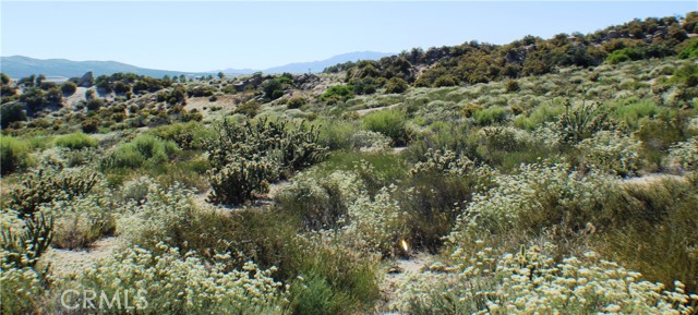MLS #SW25163544 image #15