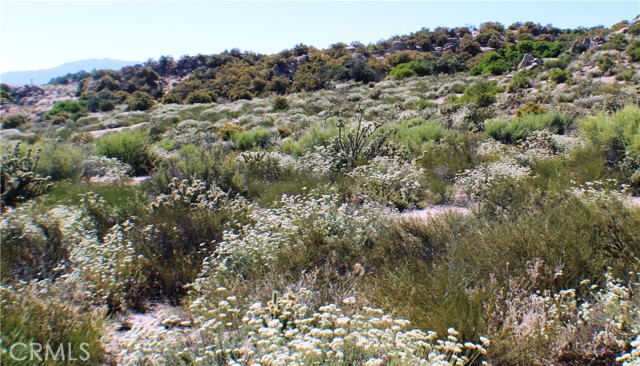 MLS #SW25163544 image #16