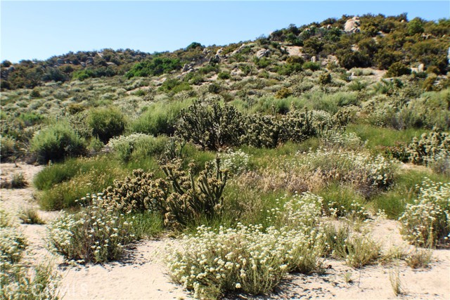 MLS #SW25163544 image #17