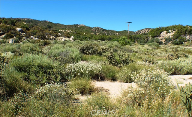 MLS #SW25163544 image #18