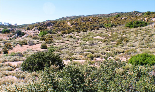 MLS #SW25163544 image #19