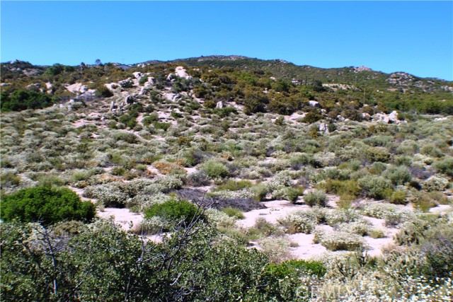 MLS #SW25163544 image #20