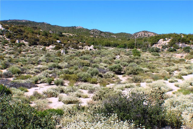 MLS #SW25163544 image #21