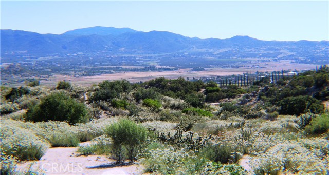 MLS #SW25163544 image #22