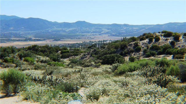 MLS #SW25163544 image #23