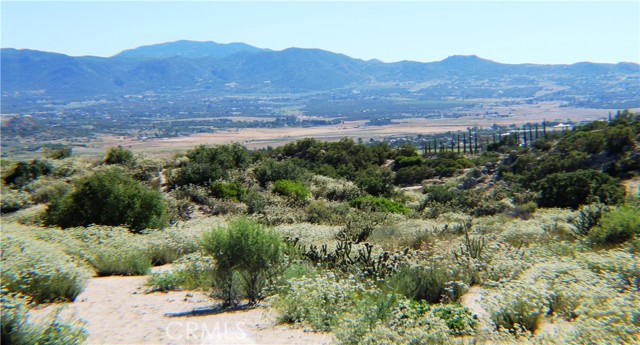 MLS #SW25163544 image #24
