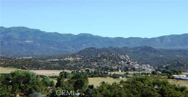 MLS #SW25163544 image #5