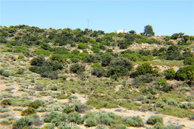 MLS #SW25163544 image #8