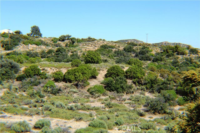 MLS #SW25163544 image #9