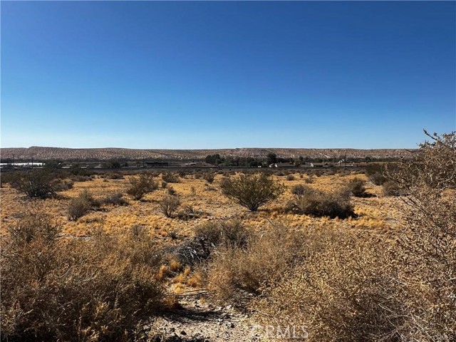 MLS #SW25164199 image #1