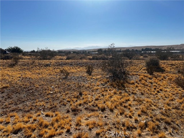 MLS #SW25164199 image #2